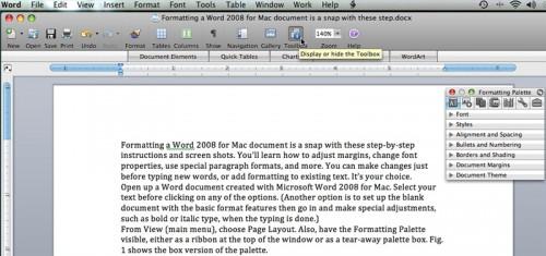 Come formattare un documento di Word 2008 per Mac