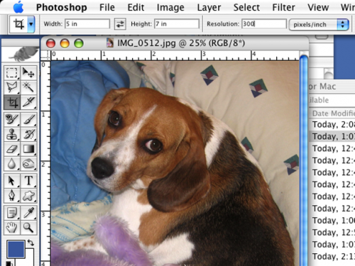 Come usare Photoshop per Mac
