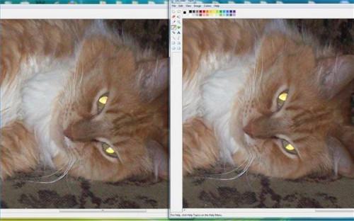Come confrontare file GIF in file JPEG