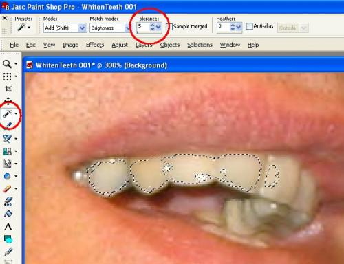 Come rendere i denti più bianchi in foto con Paint Shop Pro