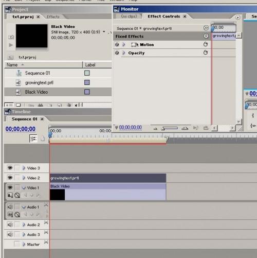 Come creare crescita testo in Adobe Premiere Pro