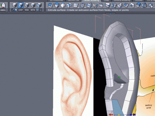 Come fare un modello 3-D dell'orecchio umano