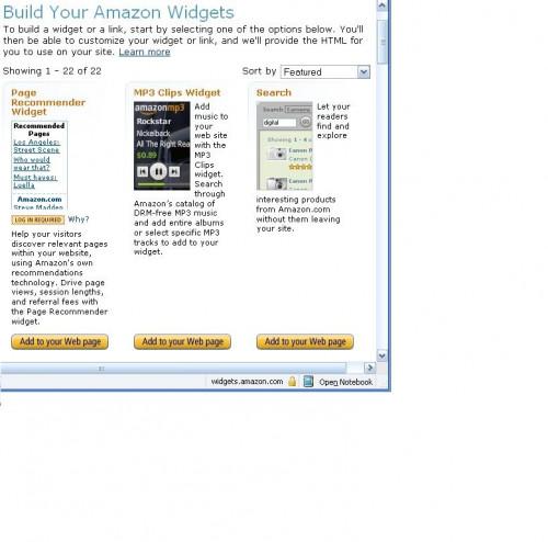 Come impostare un Amazon Widget su un sito web