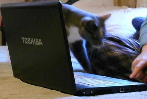 Come risolvere uno schermo da Windows Upside su un computer portatile Toshiba