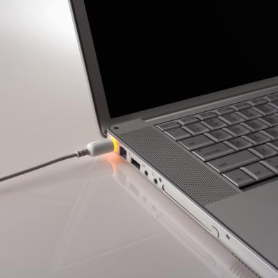 Si può danneggiare un computer portatile lasciando il caricabatteria tutto il giorno?