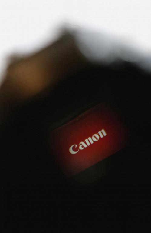 Che cosa è Canon ZoomBrowser EX?