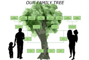 Come recuperare Family Tree Maker file