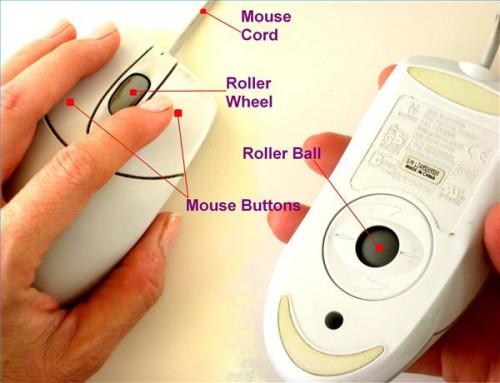 Come funziona un mouse del computer?