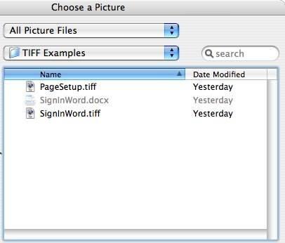 Come copiare file TIF in un documento Word