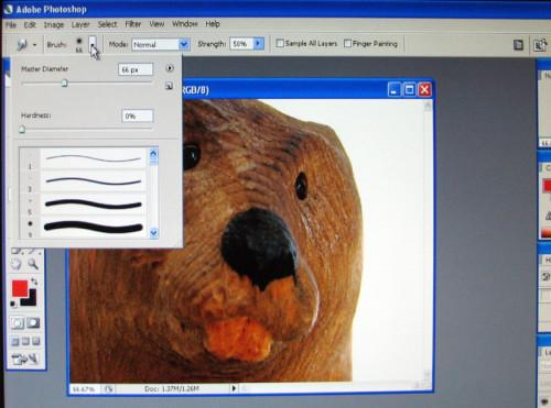 Come utilizzare uno strumento sfumino su Adobe Photoshop CS2