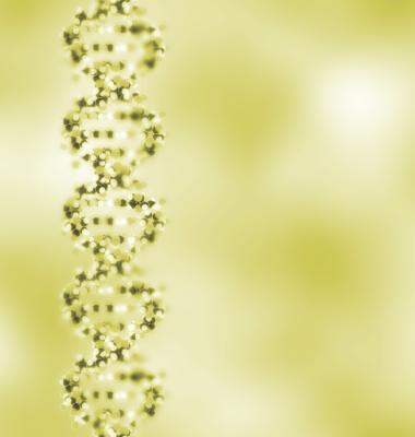 Come disegnare un filamento di DNA in Illustrator